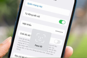 Làm cách nào để kiểm tra mật khẩu của WiFi được kết nối?